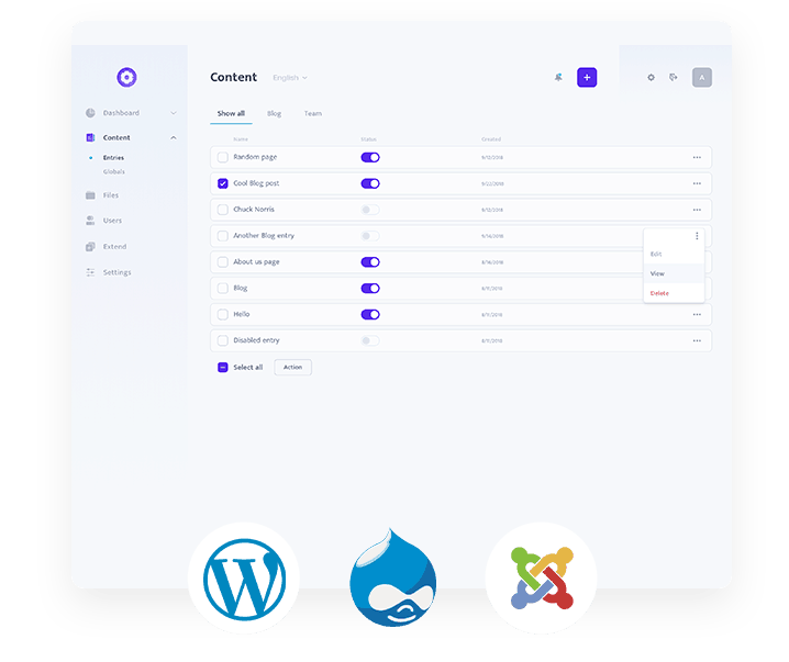 CMS Website Development